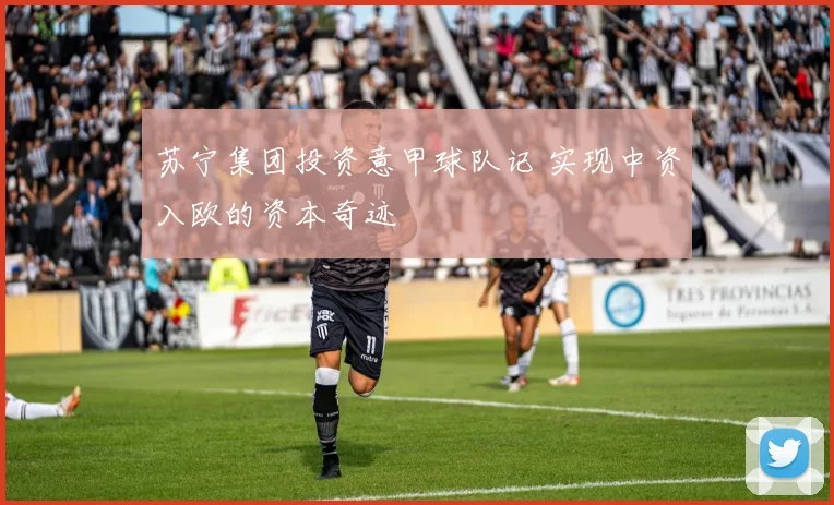 苏宁集团投资意甲球队记 实现中资入欧的资本奇迹